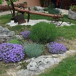 Pino