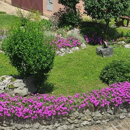 Pino Apartamento Roč