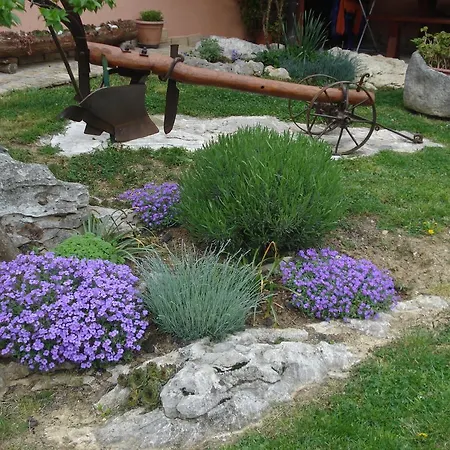 Pino