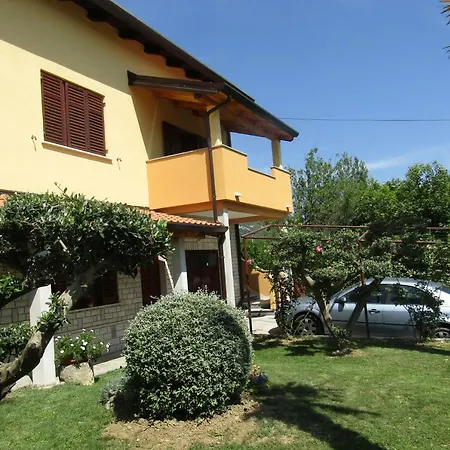 Pino