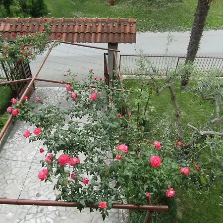 Apartmán Pino