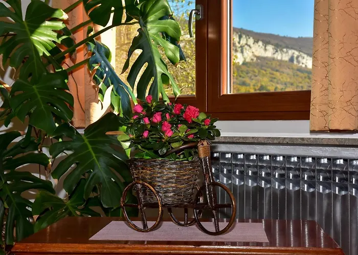Pino Appartement *